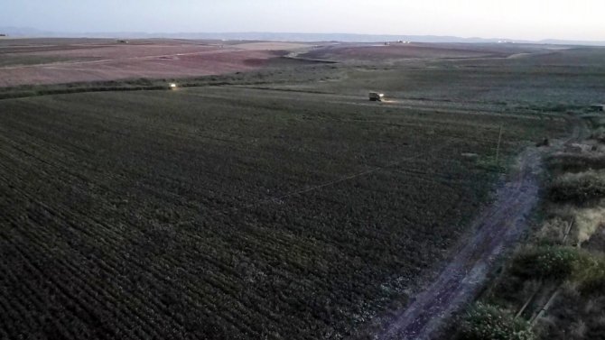 Çiftçinin ‘Beyaz Altın’ Mutluluğu