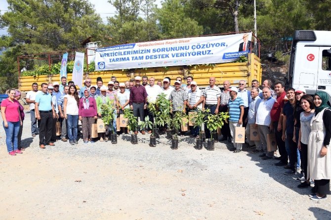 Mersin’de Belediyeden Üreticiye Tropik Destek