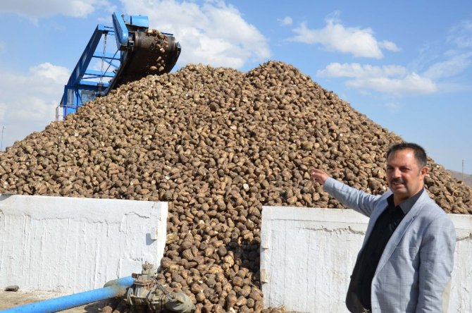 Muş Şeker Fabrikasında Üretim Başladı