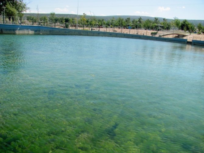 Yazın Kuruyan Pınar Yeniden Akmaya Başladı