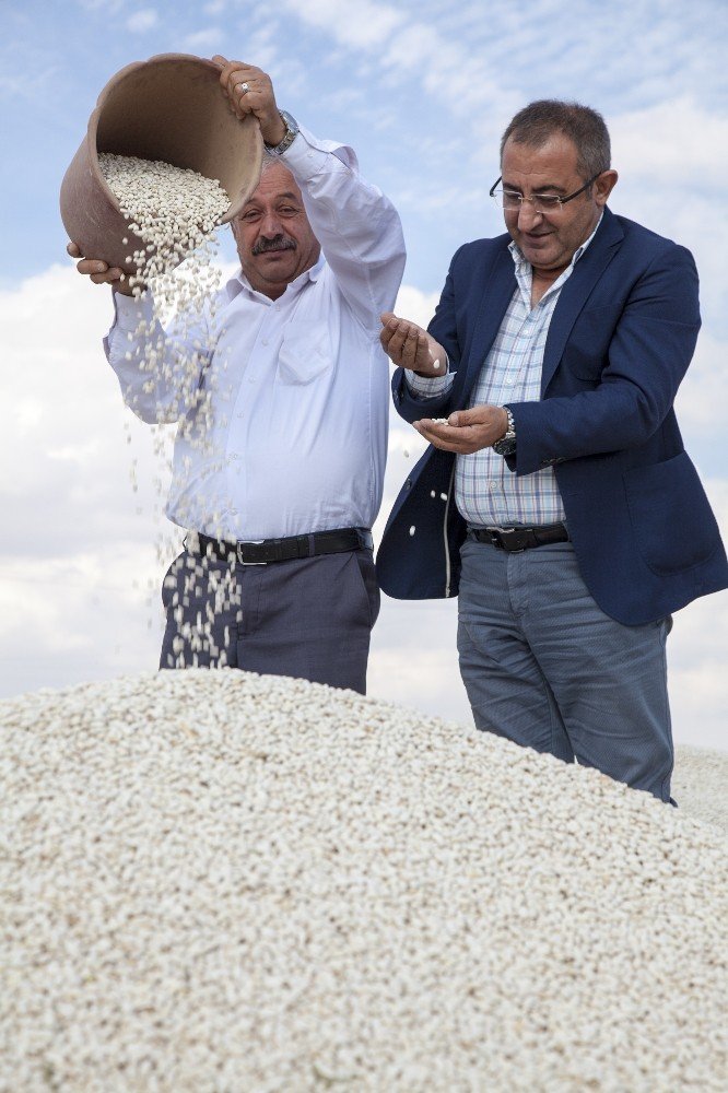 Anadolu’da Kuru Fasulye Bereketi