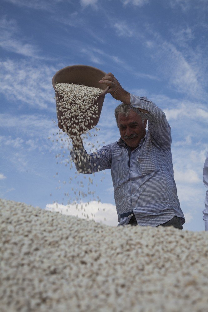 Anadolu’da Kuru Fasulye Bereketi