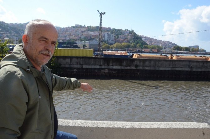 Oltanın Kancası Martıyı Öldürdü