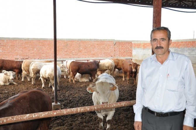 Ergüç: "Karkas Et İthalatı Besiciyi Zor Duruma Soktu"