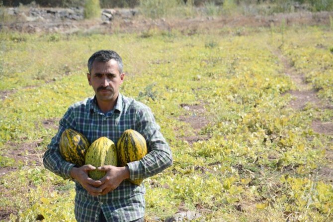 Tütüne Alternatif Ürünler Yüz Güldürdü