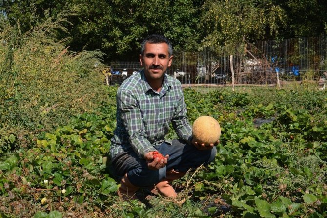 Tütüne Alternatif Ürünler Yüz Güldürdü