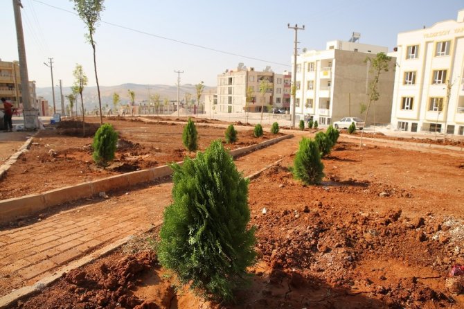 Haliliye’ye Yedi Yeni Park Kazandırılıyor