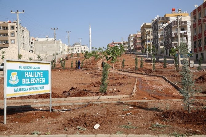 Haliliye’ye Yedi Yeni Park Kazandırılıyor
