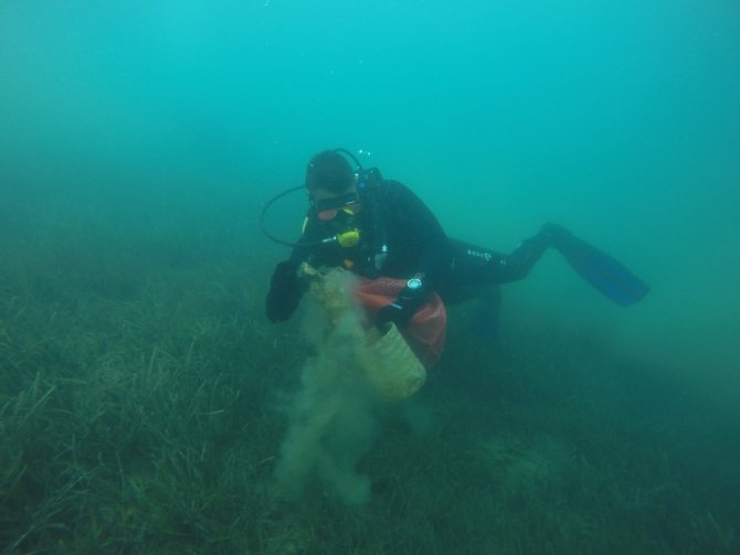 İngiliz Limanı Temizlendi
