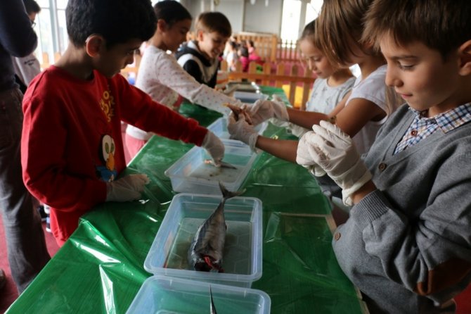 Bilim Merkezi’nde ‘’Su Altına Yolculuk’’