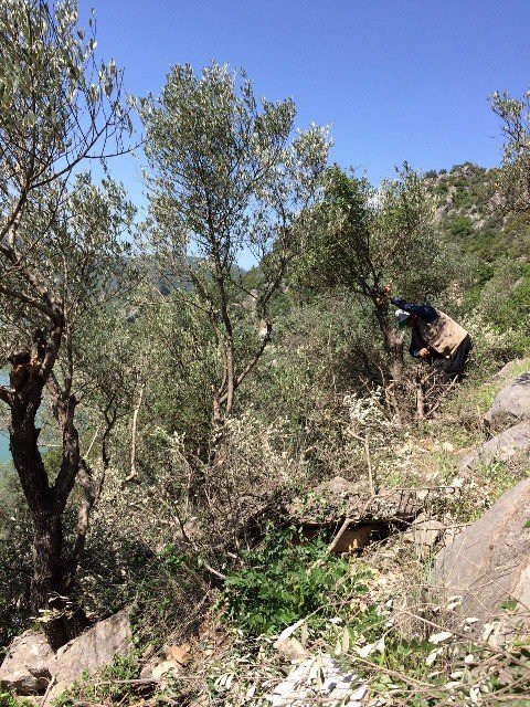 Adana’da Orman Köylüsüne Destek