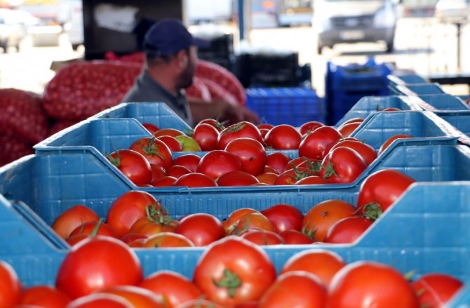 Antalya’da Sebze Üreticisi İle Tüccarların 35 Milyon Dolarlık Kuzey Irak Pazarı Tedirginliği