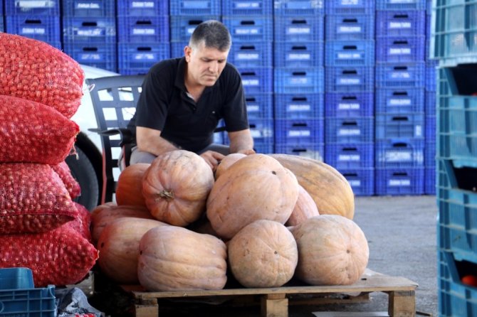 Antalya’da Sebze Üreticisi İle Tüccarların 35 Milyon Dolarlık Kuzey Irak Pazarı Tedirginliği