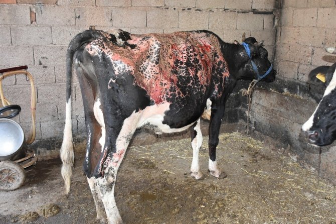 Üreticilerinin Yanında Oldular