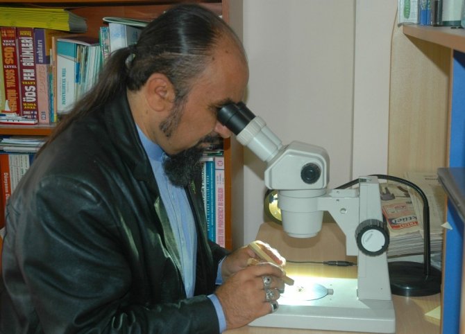 Van Yyü, Muş’ta Yeni Bitki Türü Keşfetti