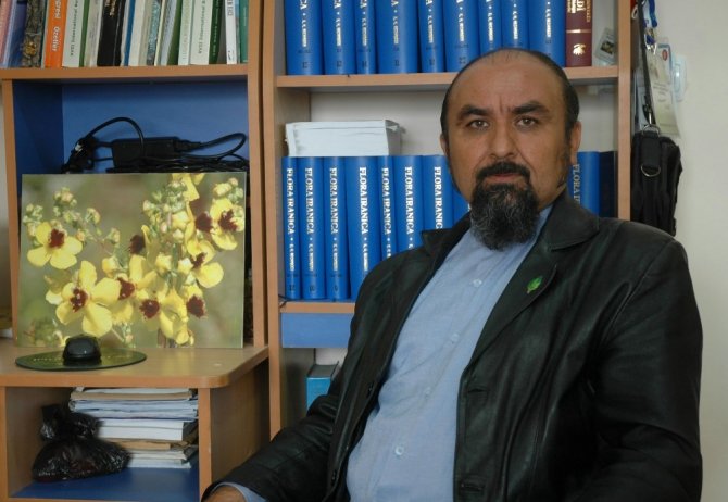 Van Yyü, Muş’ta Yeni Bitki Türü Keşfetti