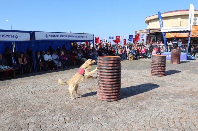 4 Ekim Dünya Hayvanları Koruma Günü, Kocaeli’de Kutlandı