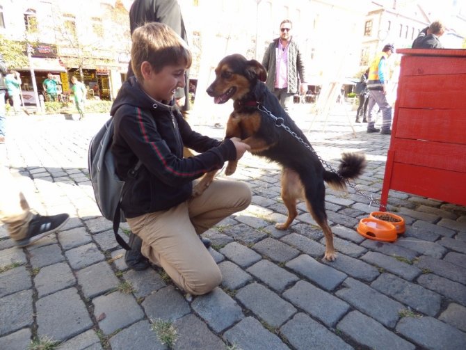 Dünya Hayvanlarını Koruma Günü Etkinliği