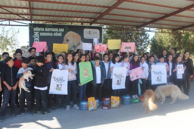 Öğrenciler, Hayvan Barınağını Gezdi