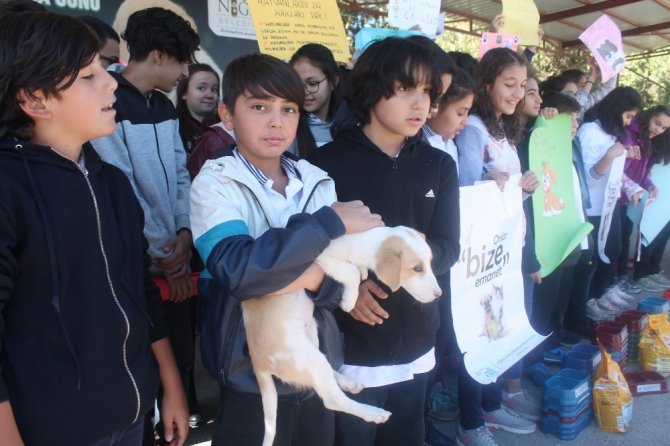 Öğrenciler, Hayvan Barınağını Gezdi
