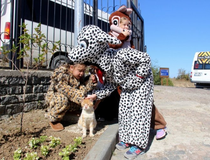 4 Yılda 3 Bin Sokak Hayvanı Sahiplenildi