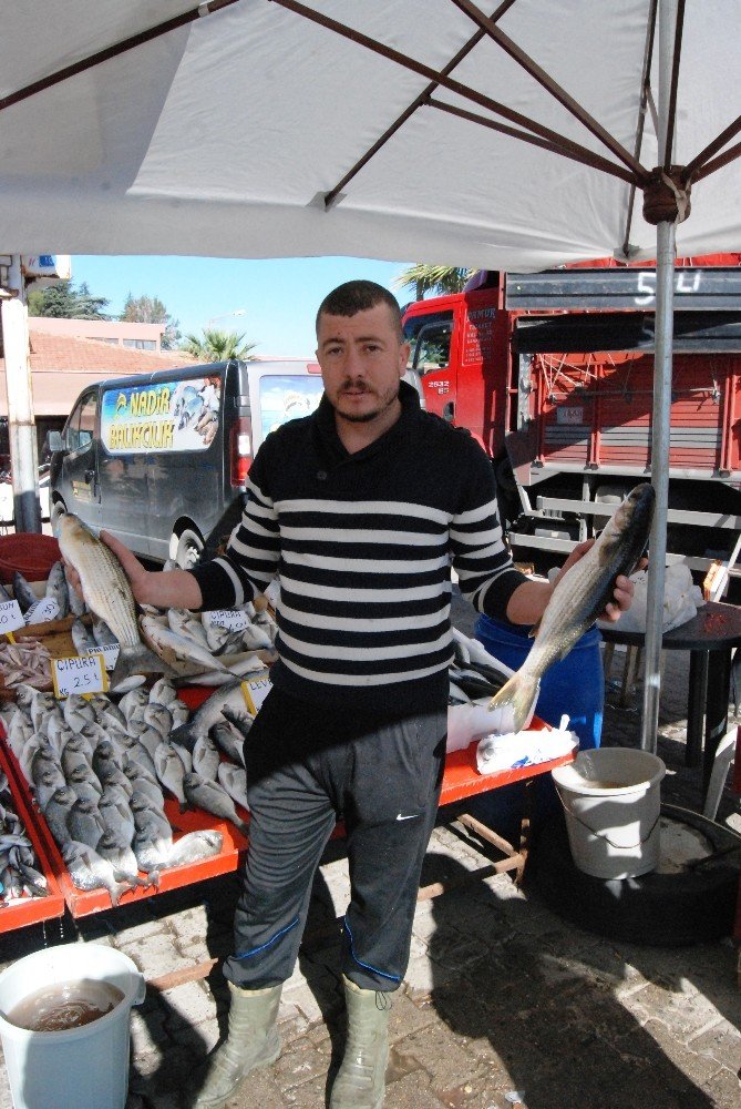 Bayramiç’te Balık Fiyatları Yüksek Seyrediyor