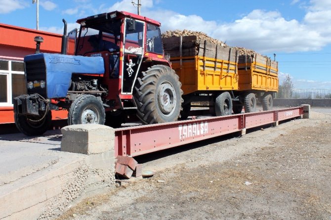 Pancar Üretimi Yüzde 110 Arttı, Son 10 Yılın Rekoru Kırıldı