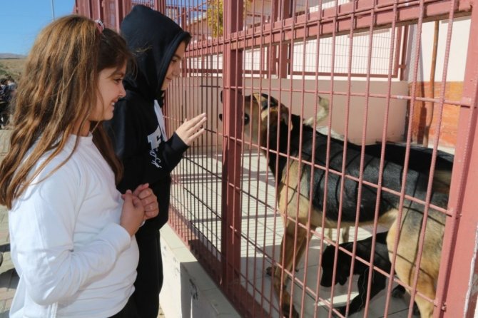 Elazığ’da, Dünya Hayvanları Koruma Günü Etkinlikleri