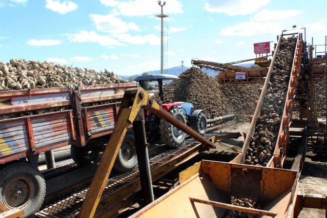 Pancar Üretimi Yüzde 110 Arttı, Son 10 Yılın Rekoru Kırıldı