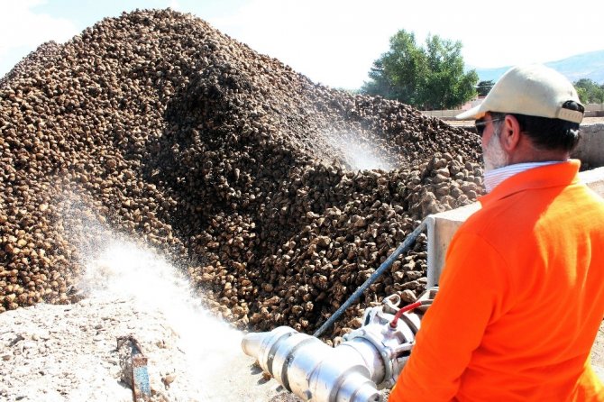 Pancar Üretimi Yüzde 110 Arttı, Son 10 Yılın Rekoru Kırıldı