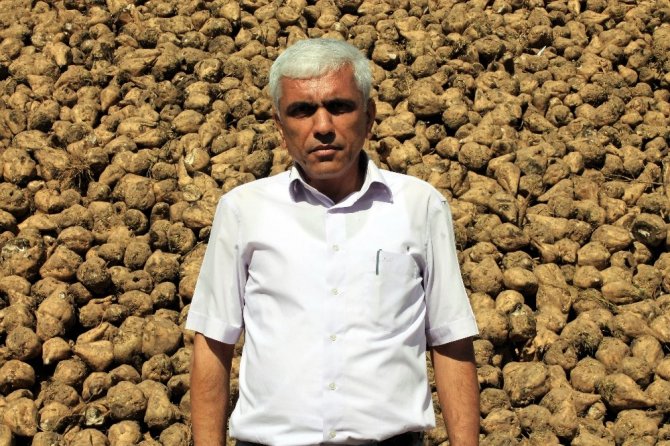 Pancar Üretimi Yüzde 110 Arttı, Son 10 Yılın Rekoru Kırıldı