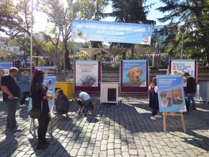 Dünya Hayvanlarını Koruma Günü Etkinliği