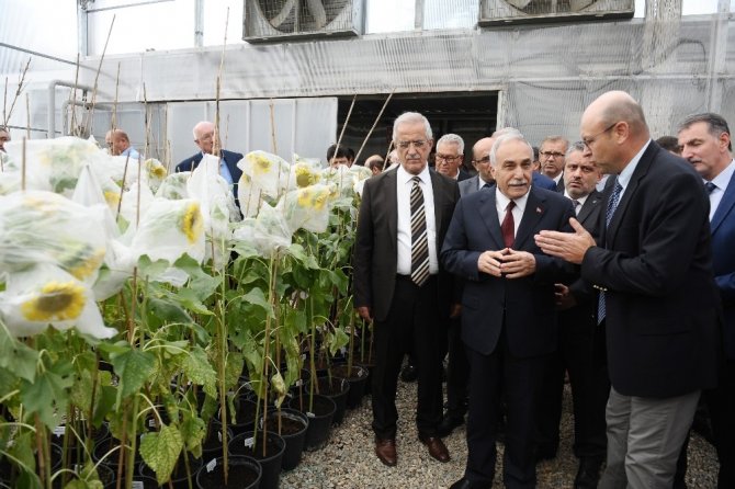 En Verimli Tohumlar Bursa’da Üretiliyor