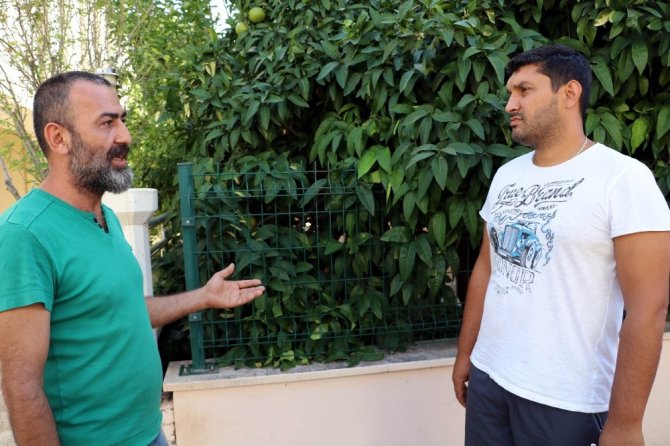 Antalya’da Köpeklerin Katledilmesi