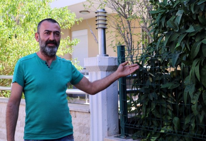 Antalya’da Köpeklerin Katledilmesi