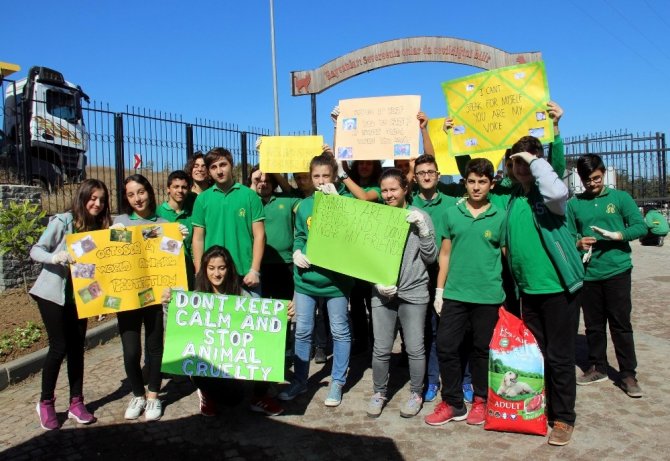 4 Yılda 3 Bin Sokak Hayvanı Sahiplenildi