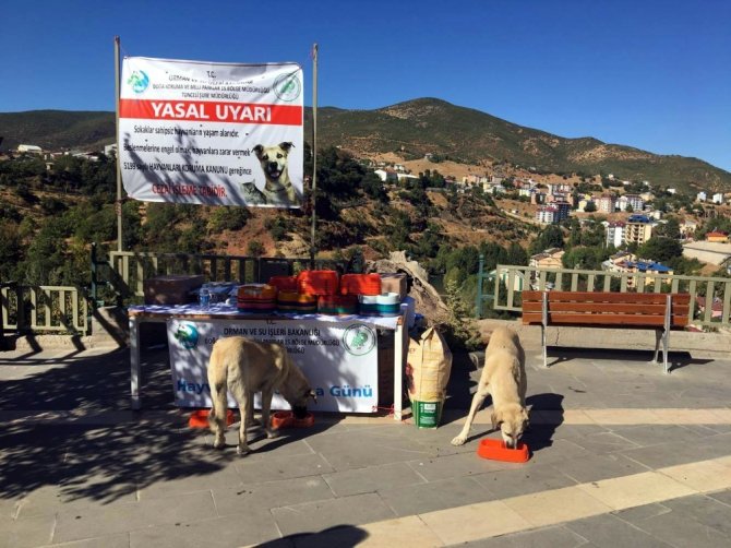 Tunceli’de Sokak Hayvanları Koruma Günü Etkinlikleri