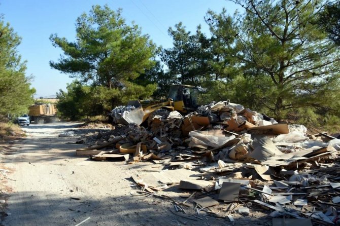 Aliağa Belediyesinden Orman Temizliği