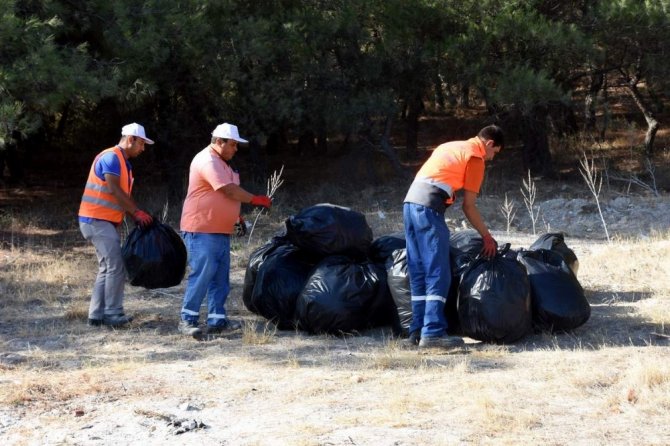 Aliağa Belediyesinden Orman Temizliği