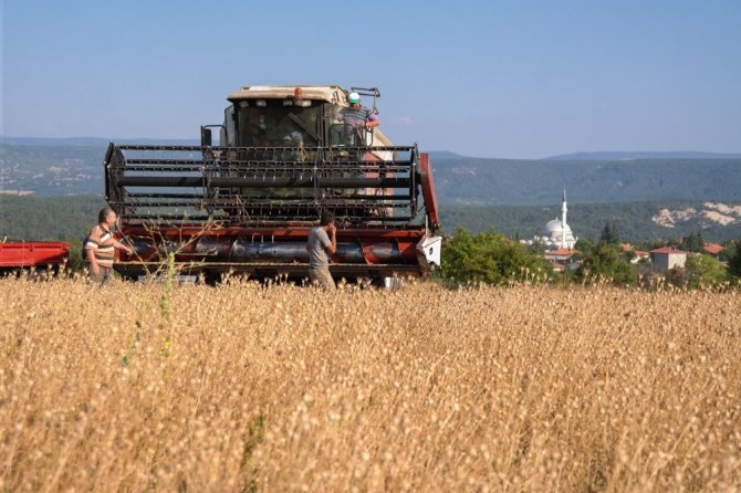 Domaniç’te Alternatif Ürün Sevinci