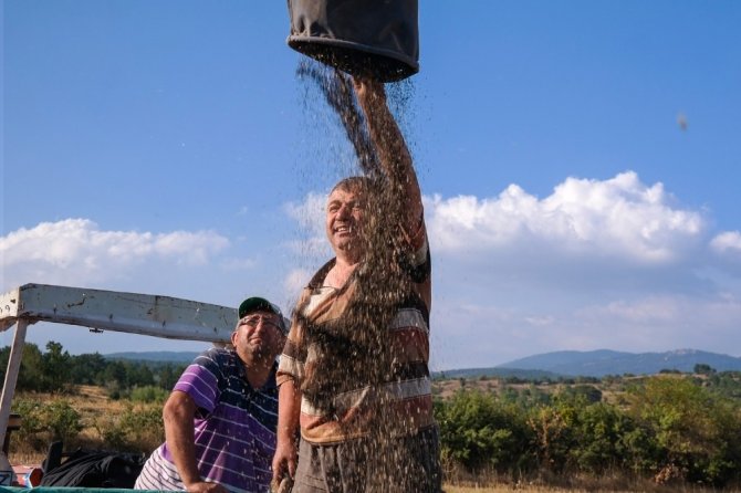 Domaniç’te Alternatif Ürün Sevinci