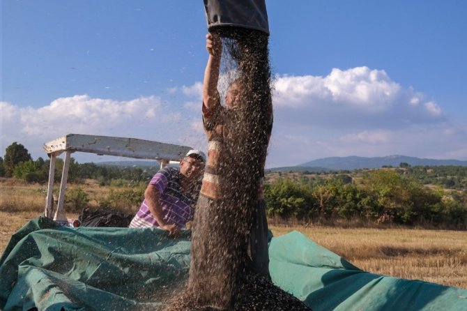 Domaniç’te Alternatif Ürün Sevinci