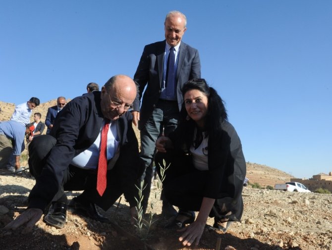 Mardin’de ‘Zeytin Gen’ Bahçesi Kuruldu
