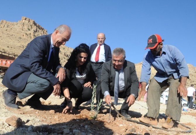 Mardin’de ‘Zeytin Gen’ Bahçesi Kuruldu