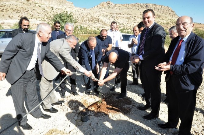 Mardin’de ‘Zeytin Gen’ Bahçesi Kuruldu