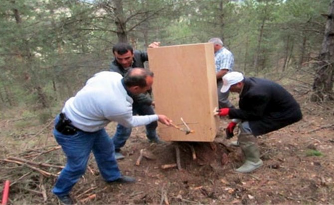 Samsun’da Bu Yıl 4,8 Milyon Fidan Üretildi