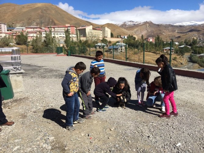 Hakkari’de Dünya Hayvanları Koruma Günü Etkinliği Yapıldı