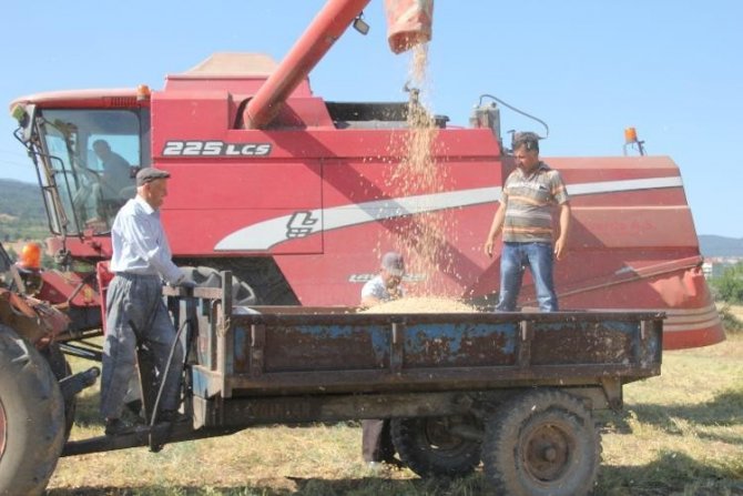 Nohut Çiftçinin Yüzünü Güldürdü