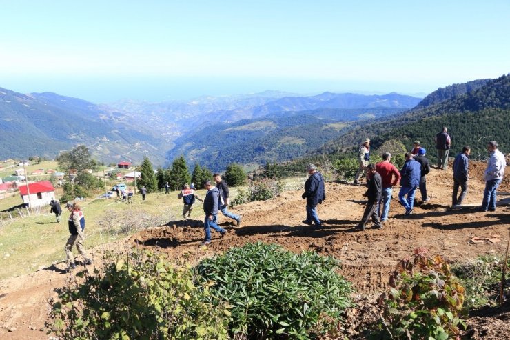 İneklerini Satarak Yaptırdığı Yayla Evi Yıkıldı