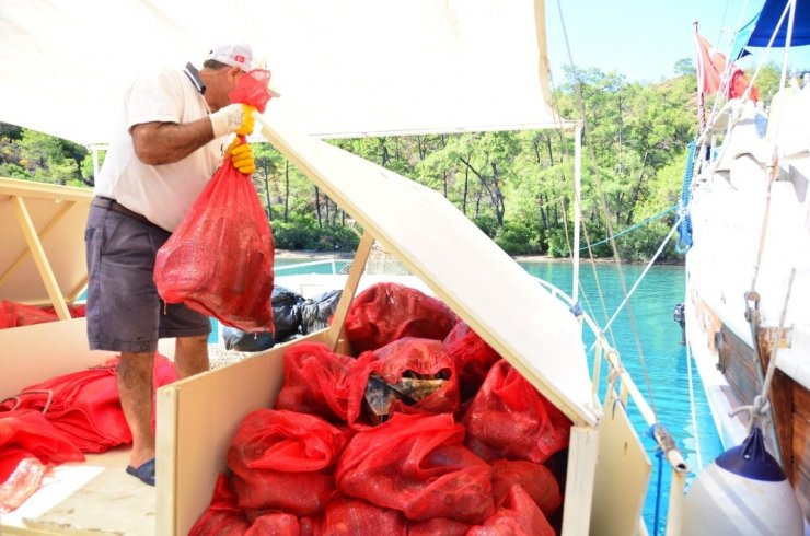 Deniz Dibi Temizliği Çatı Koyu’nda Devam Etti